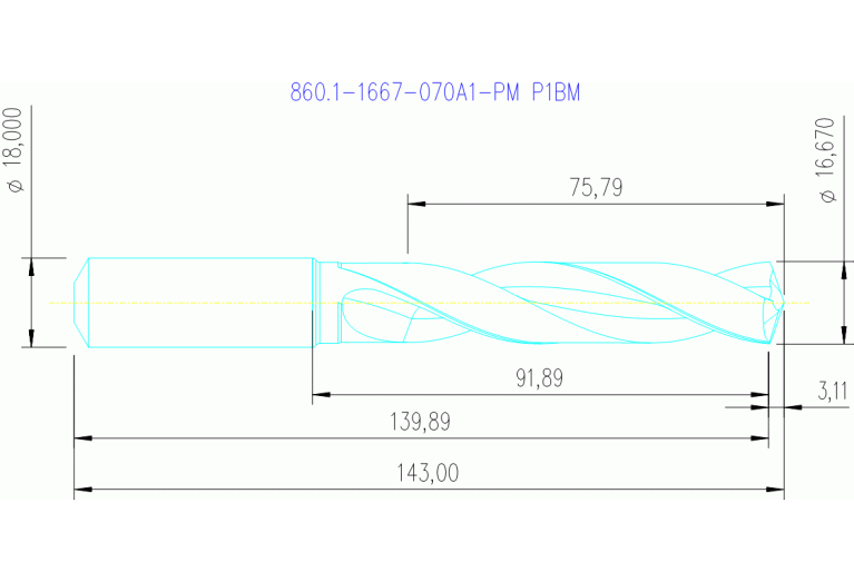 860.1-1667-070A1-PM P1BM