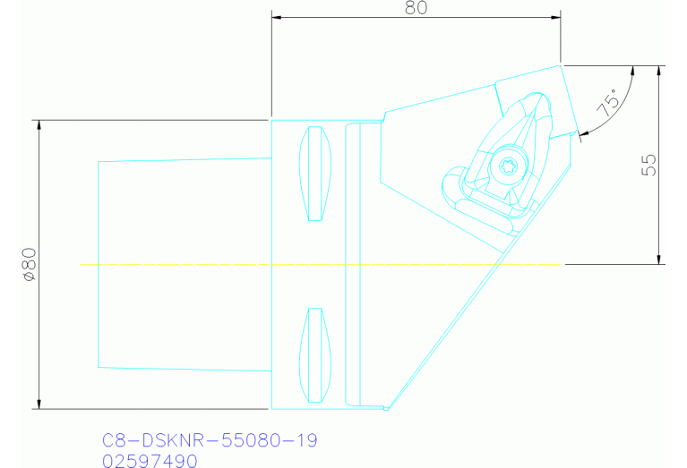 C8-DSKNR-55080-19