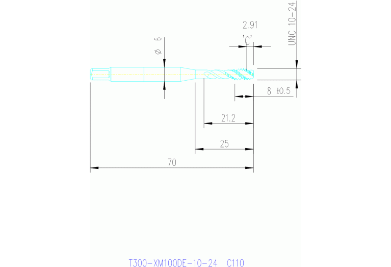 T300-XM100DE-10-24 C110