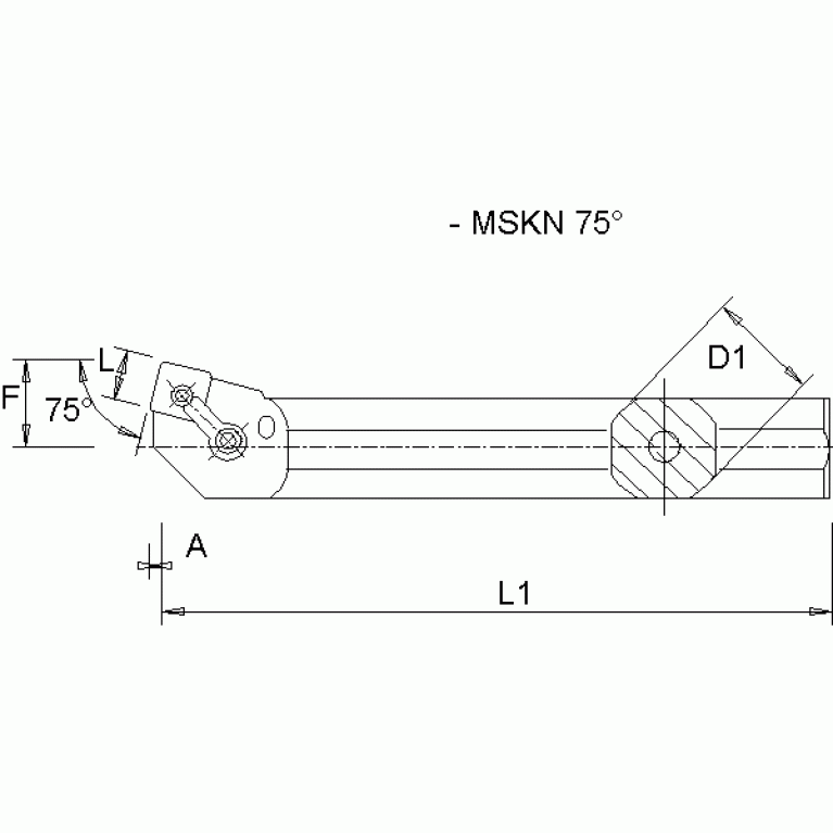 A25RMSKNL09