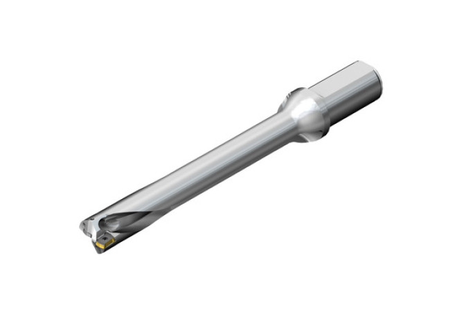 DS20-D4200L50-07