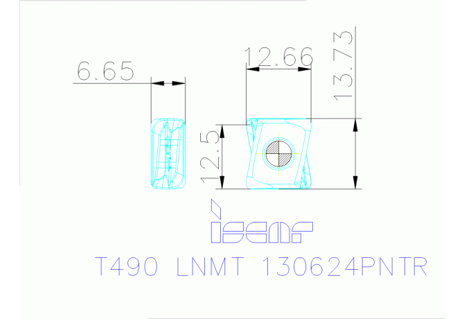 T490 LNMT 130624PNTR IC810