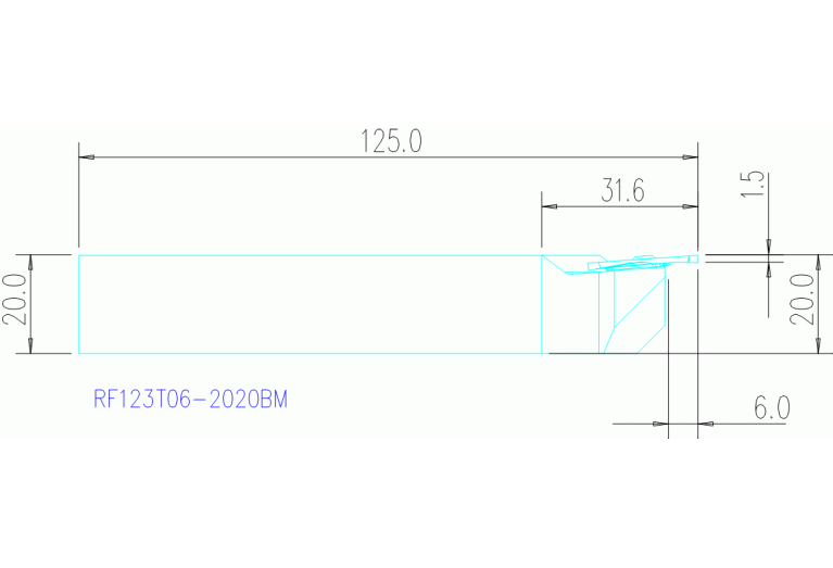 RF123T06-2020BM