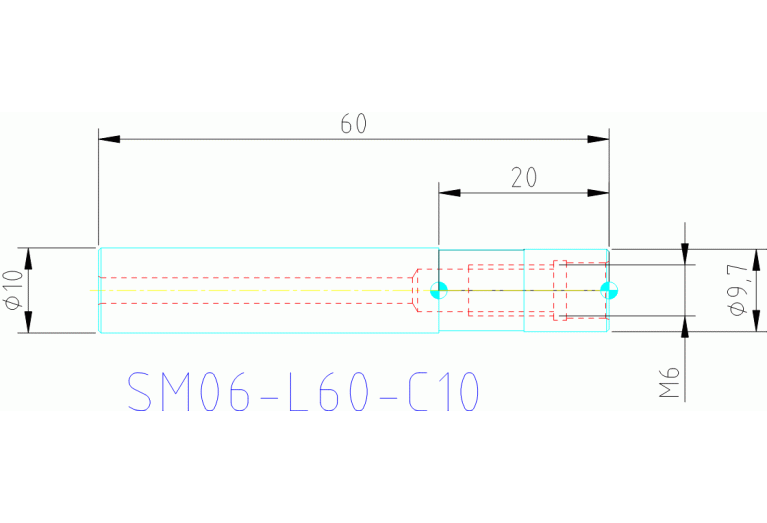 SM06-L60-C10