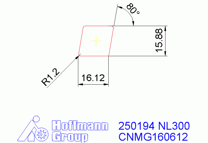 250194 NL300