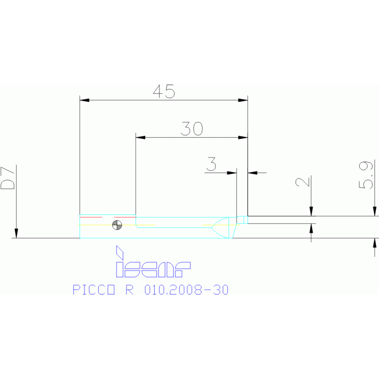 PICCO R 010.2008-30 IC228