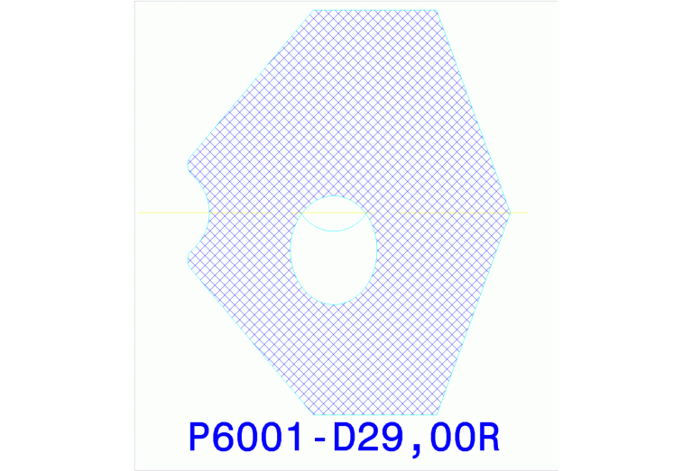 P6001-D29,00R WXP45