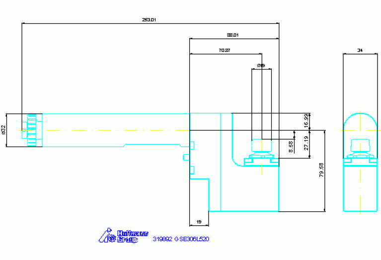 319892 GSE306L520