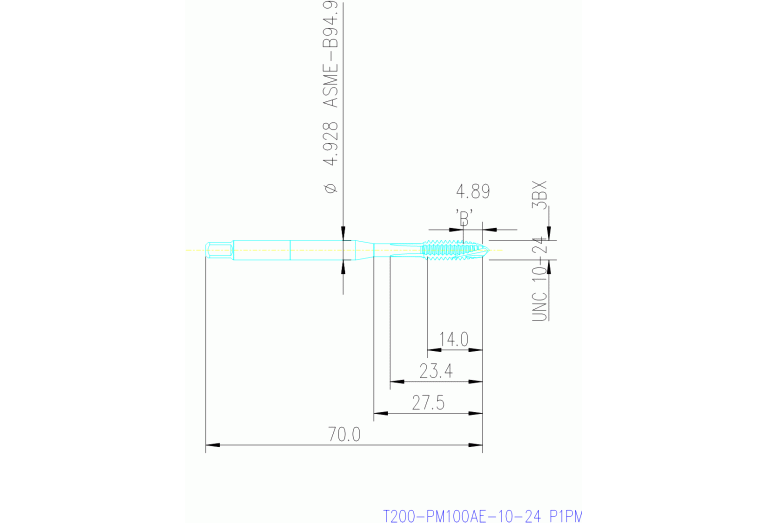 T200-PM100AE-10-24 P1PM