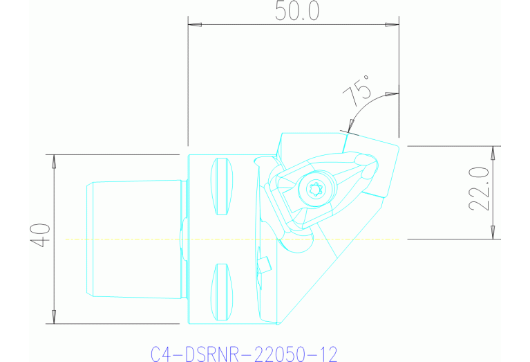 C4-DSRNR-22050-12