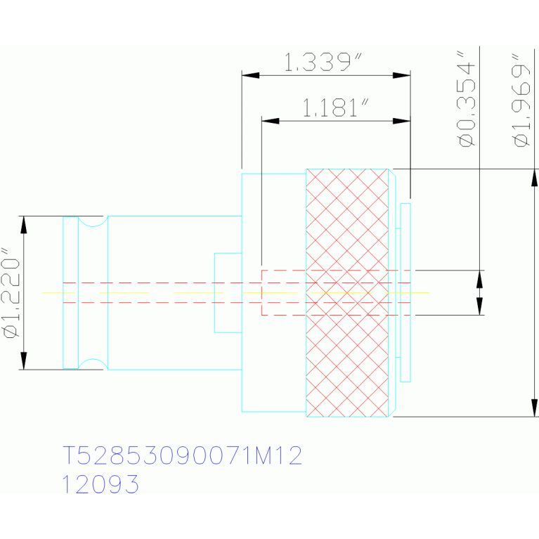 T52853090071M12