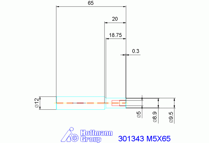 301343 M5X65