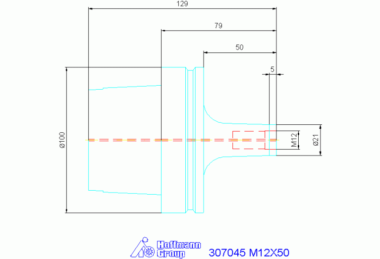 307045 M12X50