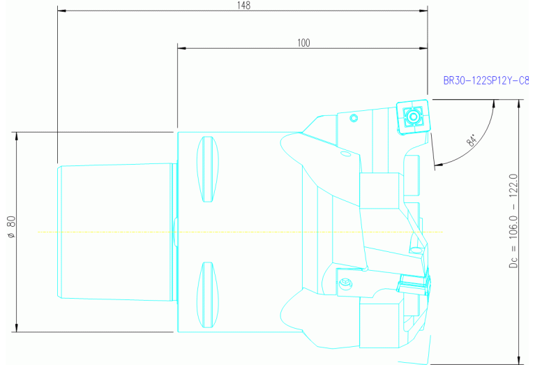 BR30-122SP12Y-C8