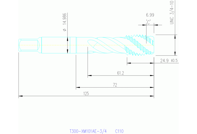 T300-XM101AE-3/4 C110