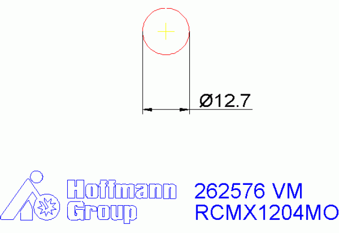 262576 VM
