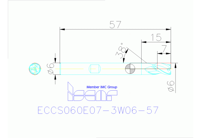 ECCS060E07-3W06-57 IC900