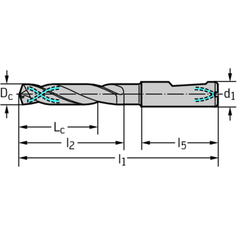 DC150-05-03.000F1-WJ30RE