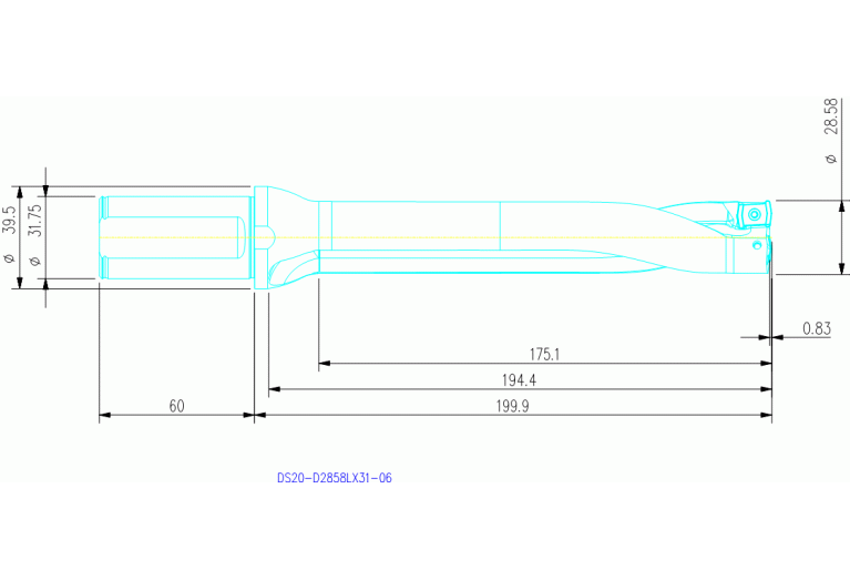 DS20-D2858LX31-06