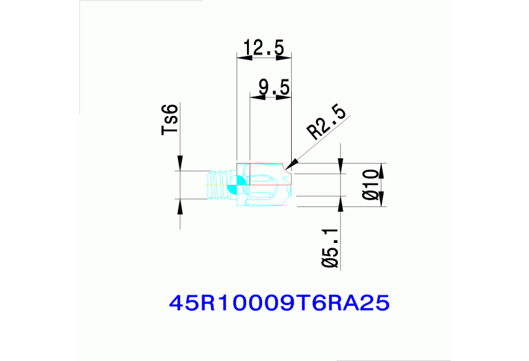 45R10009T6RA25 IN2005
