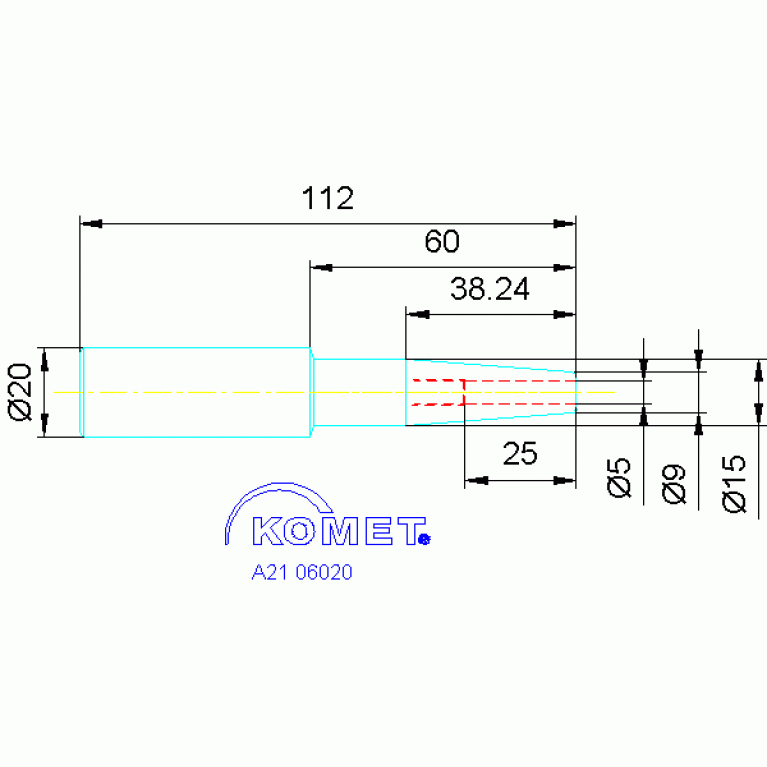 A21 06020