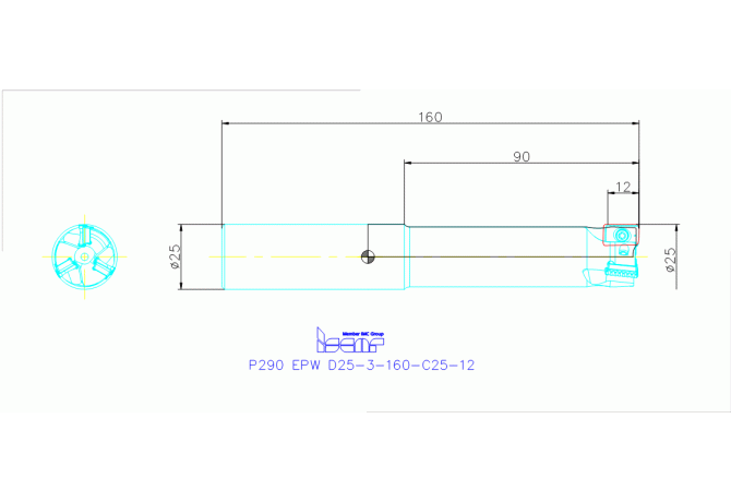 P290 EPW D25-3-160-C25-12