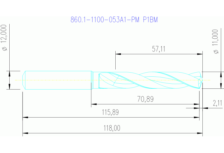 860.1-1100-053A1-PM P1BM