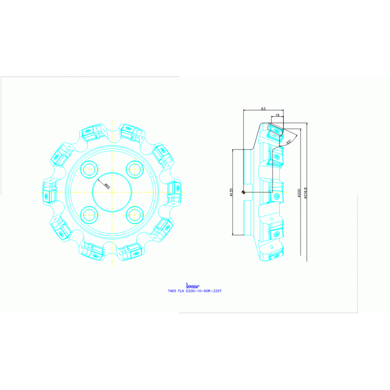 T465 FLN D200-10-60R-22ST