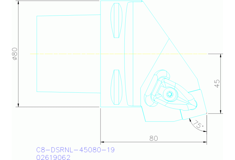 C8-DSRNL-45080-19