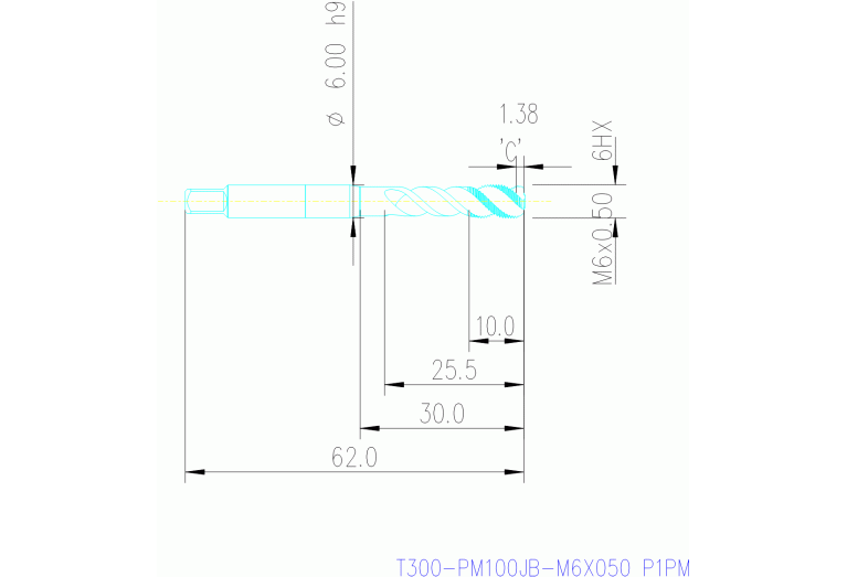 T300-PM100JB-M6X050 P1PM