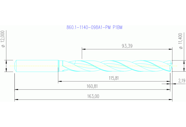 860.1-1140-098A1-PM P1BM