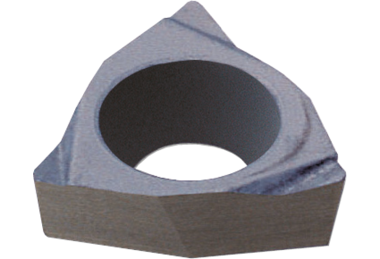 WBGTS30202L H01