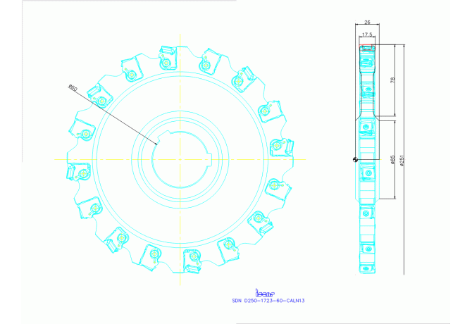 SDN D250-1723-60-CALN13