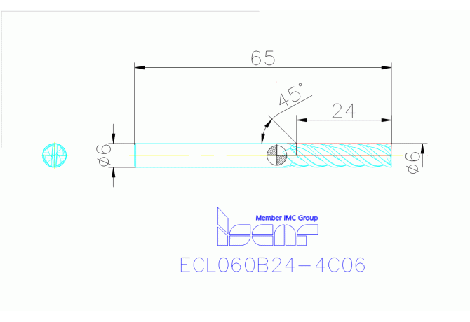 ECL060B24-4C06 IC900