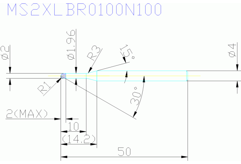 MS2XLBR0100N100