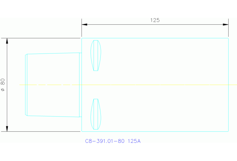 C8-391.01-80 125A