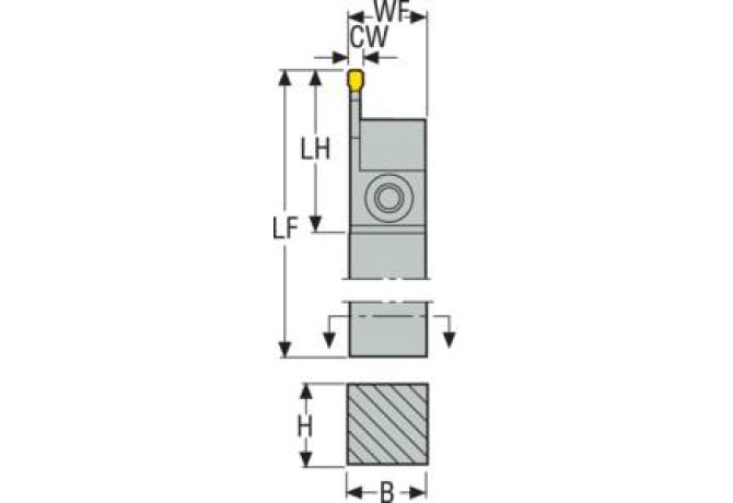 CFTR1616M03