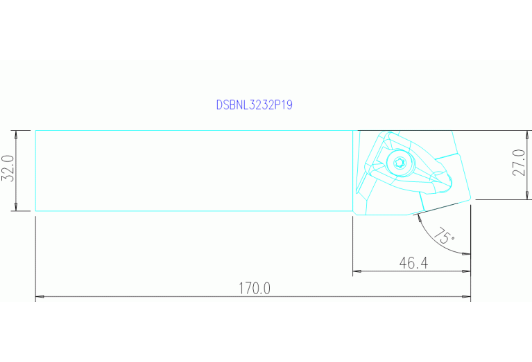 DSBNL3232P19