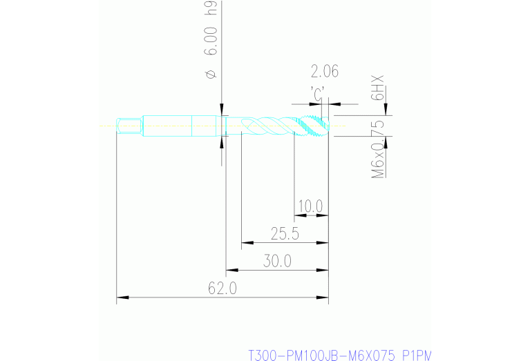 T300-PM100JB-M6X075 P1PM