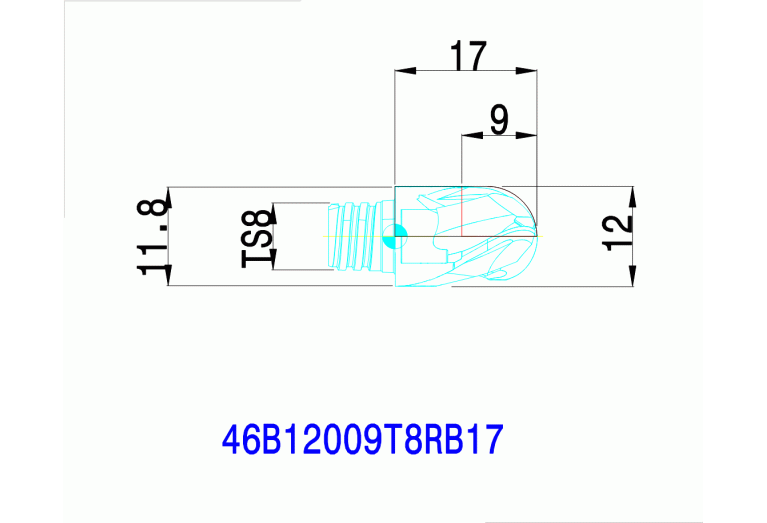 46B12009T8RB17 IN2005