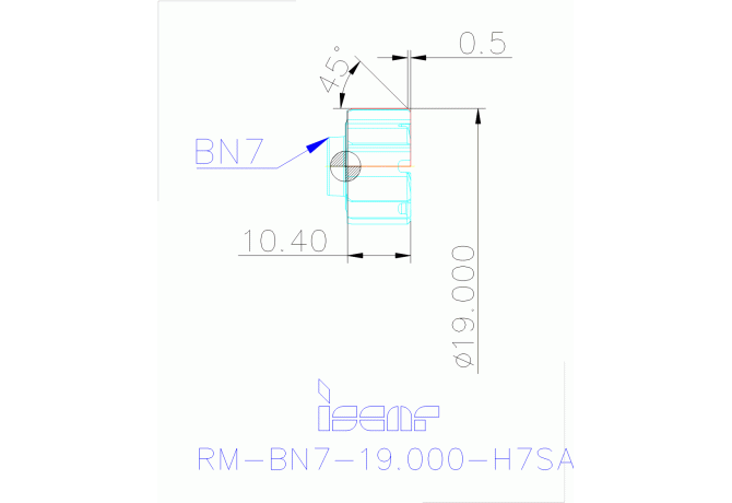 RM-BN7-19.000-H7SA IC08