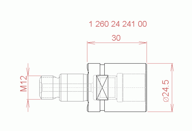 12602424100