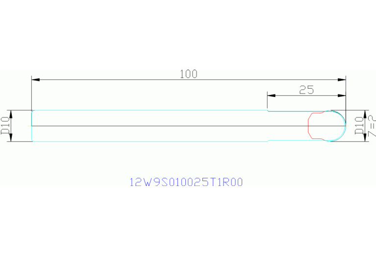12W9S010025T1R00