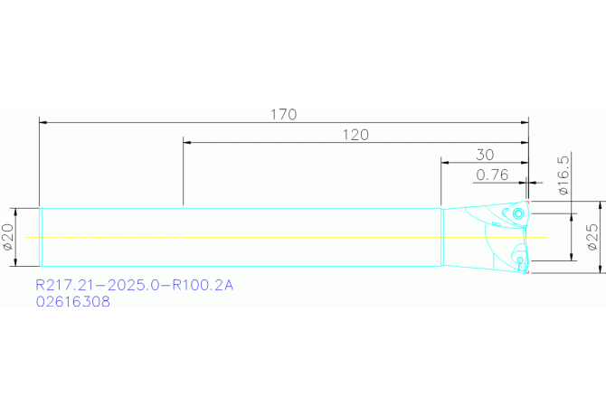 R217.21-2025.0-R100.2A