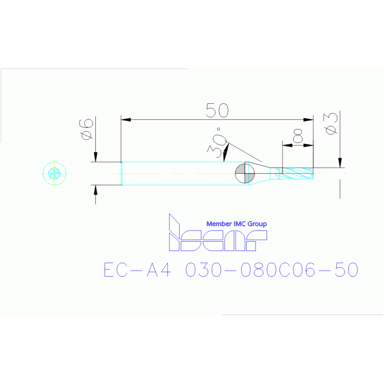 EC-A4 030-080C06-50 IC903
