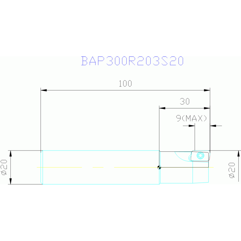 BAP300R203S20