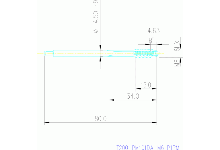 T200-PM101DA-M6 P1PM