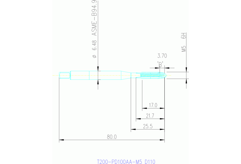 T200-PD100AA-M5 D110