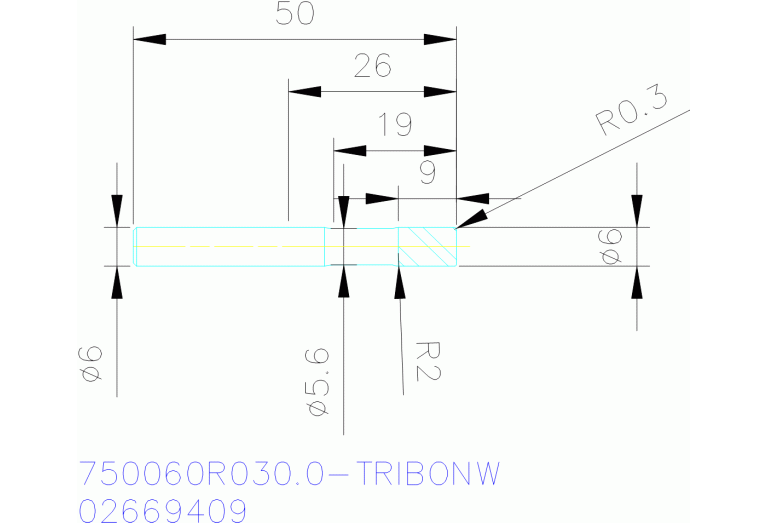 750060R030.0-TRIBONW