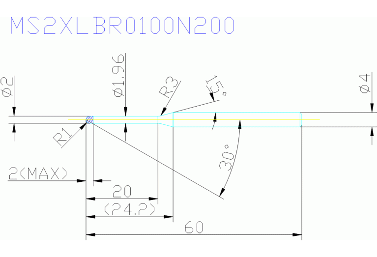 MS2XLBR0100N200